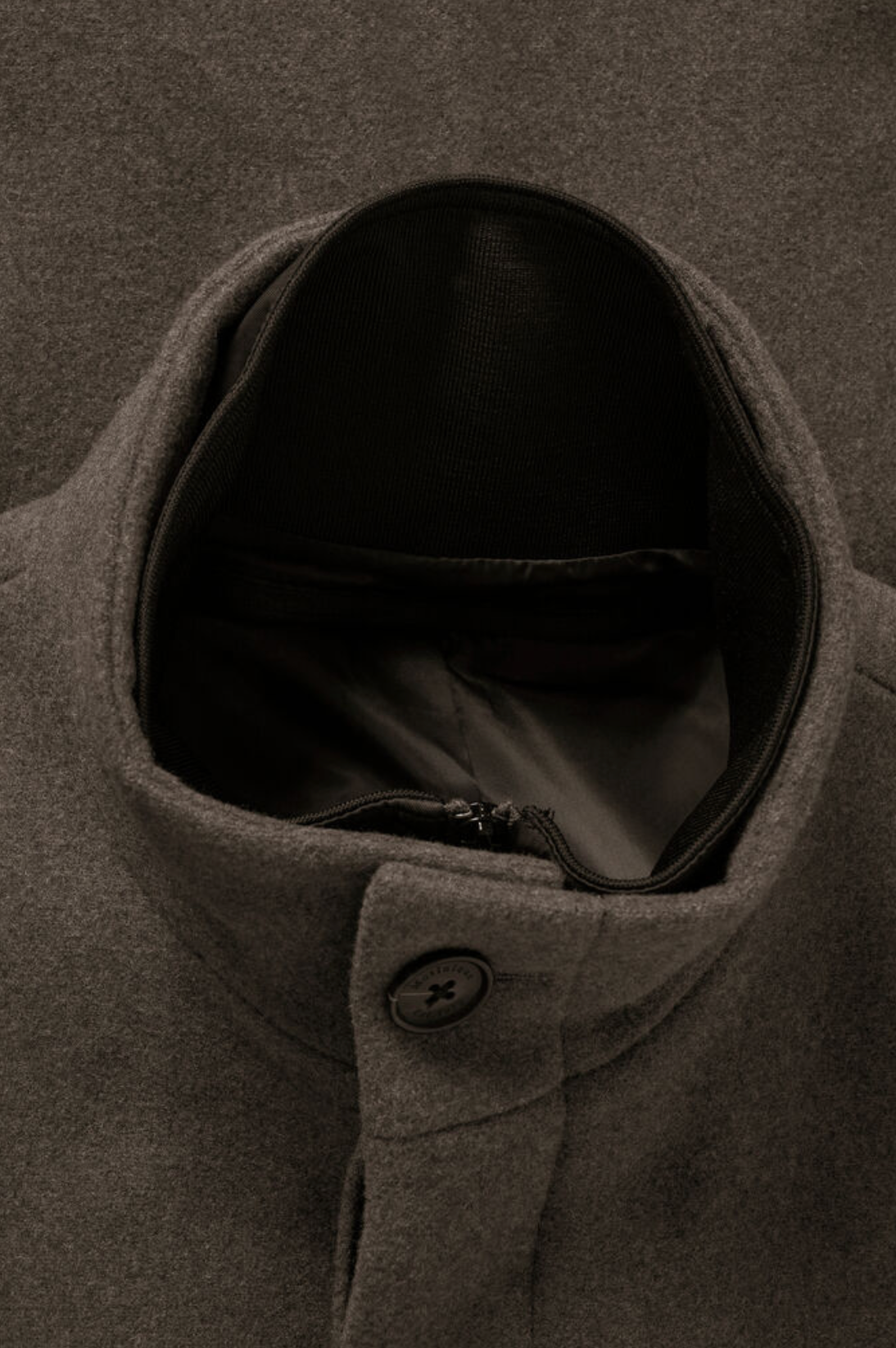 30203845 - Harvey N - Brindle