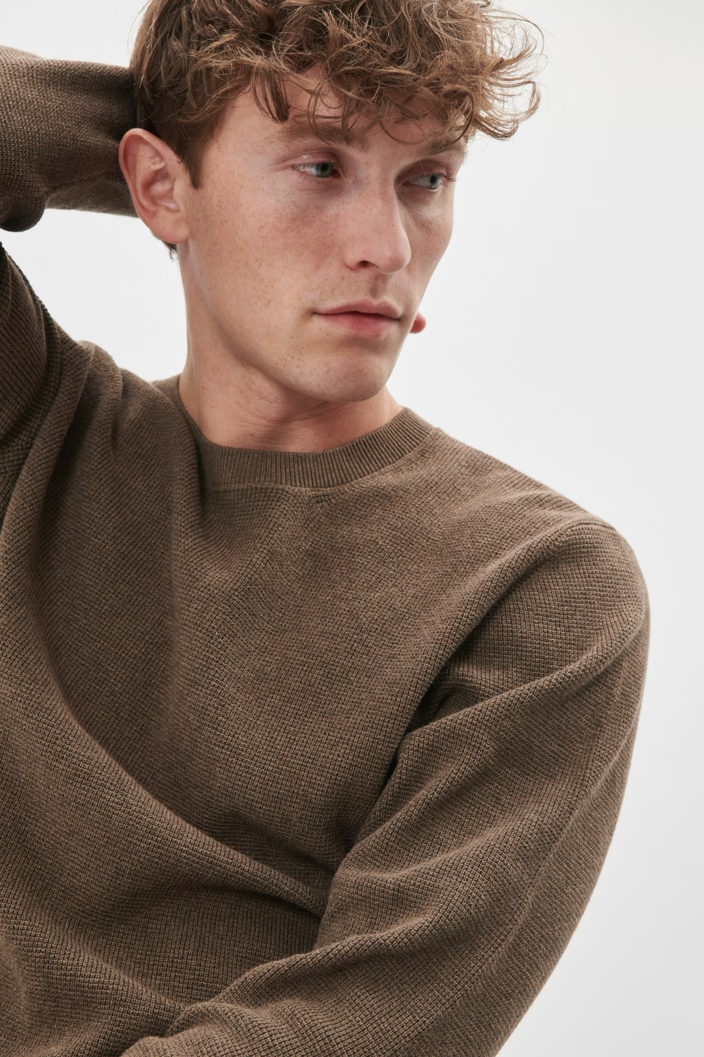 30207195 - MAlagoon - Morel