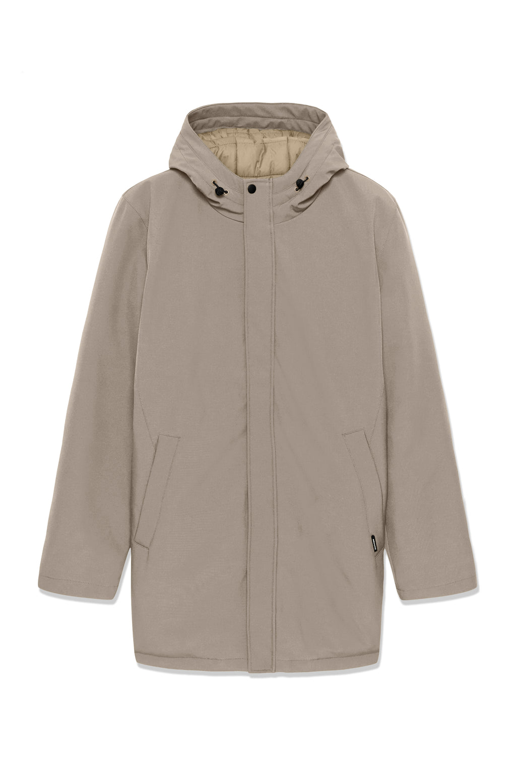 30205571 - MAdeston N - Brindle