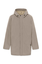 30205571 - MAdeston N - Brindle