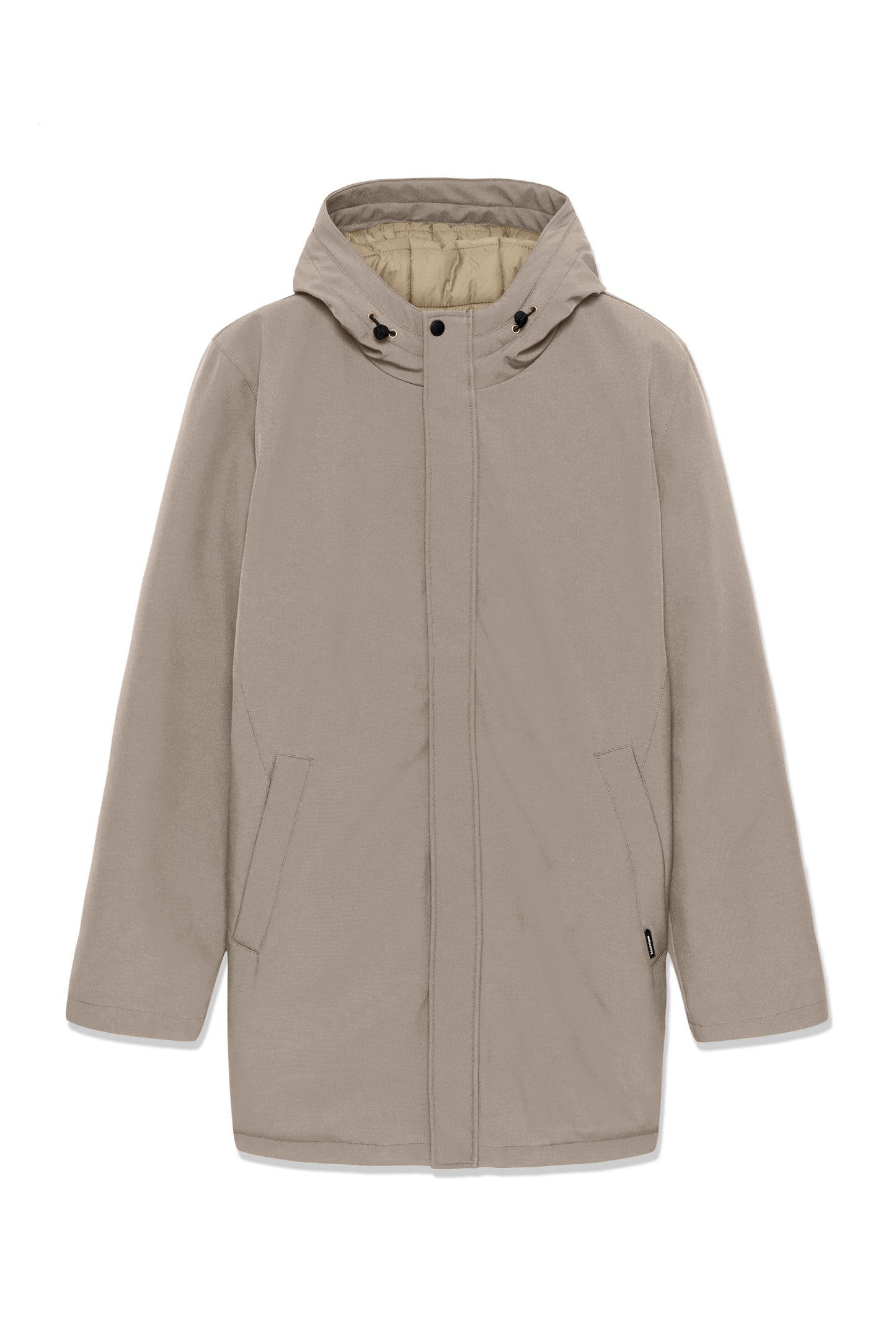 30205571 - MAdeston N - Brindle