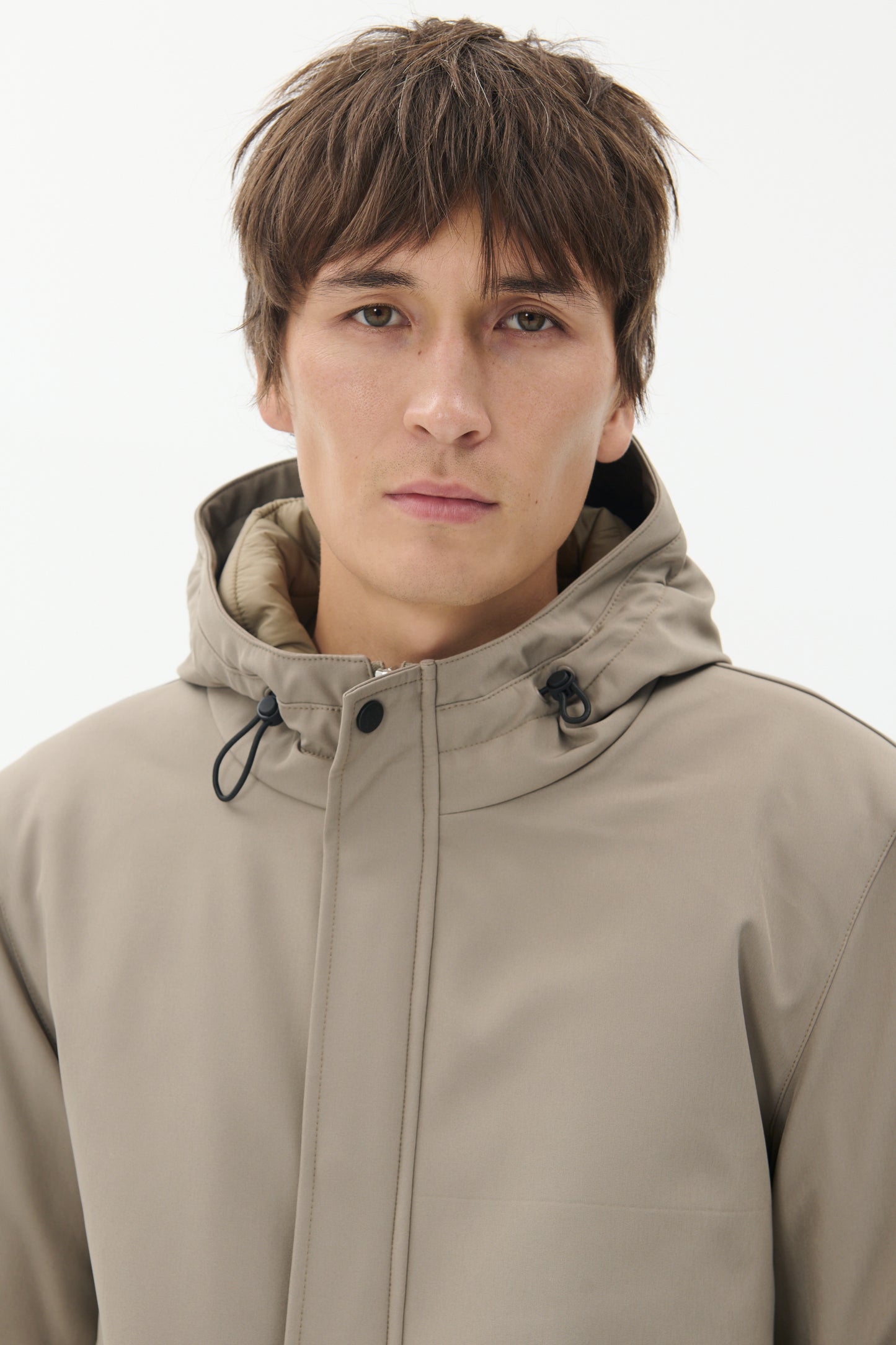 30205571 - MAdeston N - Brindle