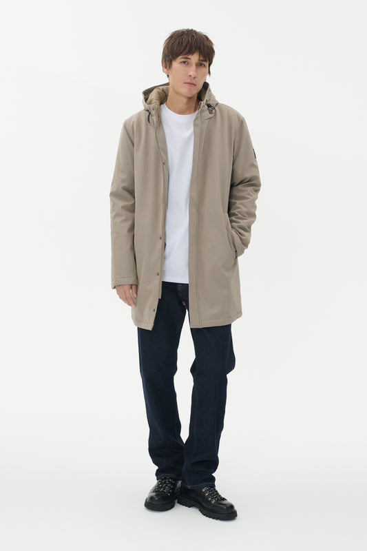 30205571 - MAdeston N - Brindle