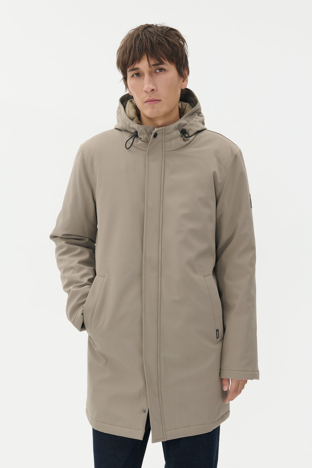 30205571 - MAdeston N - Brindle