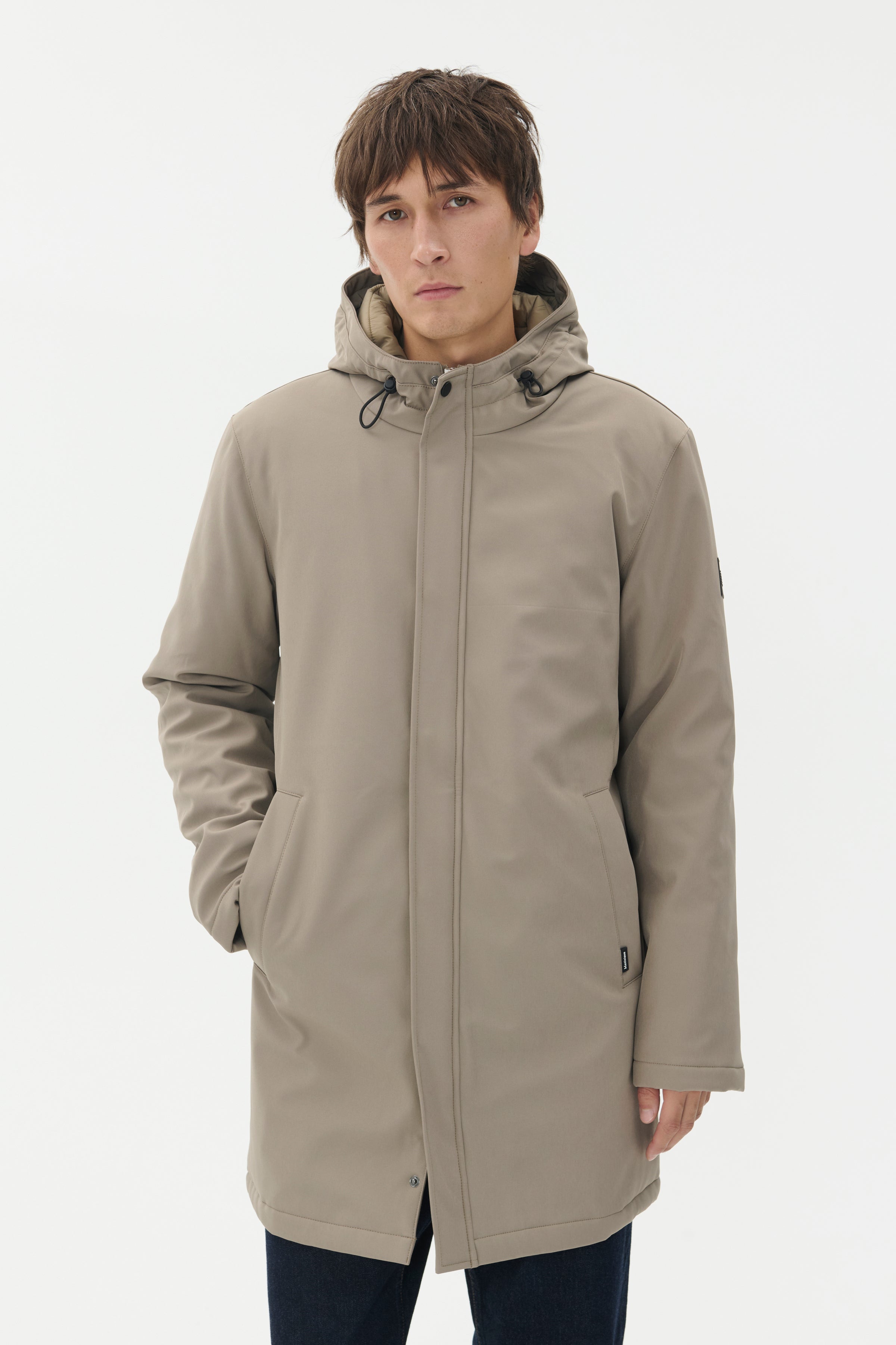 30205571 - MAdeston N - Brindle