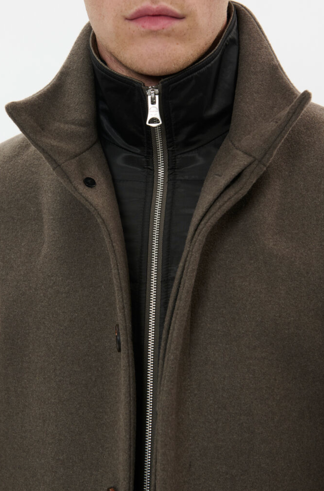 30203845 - Harvey N - Brindle