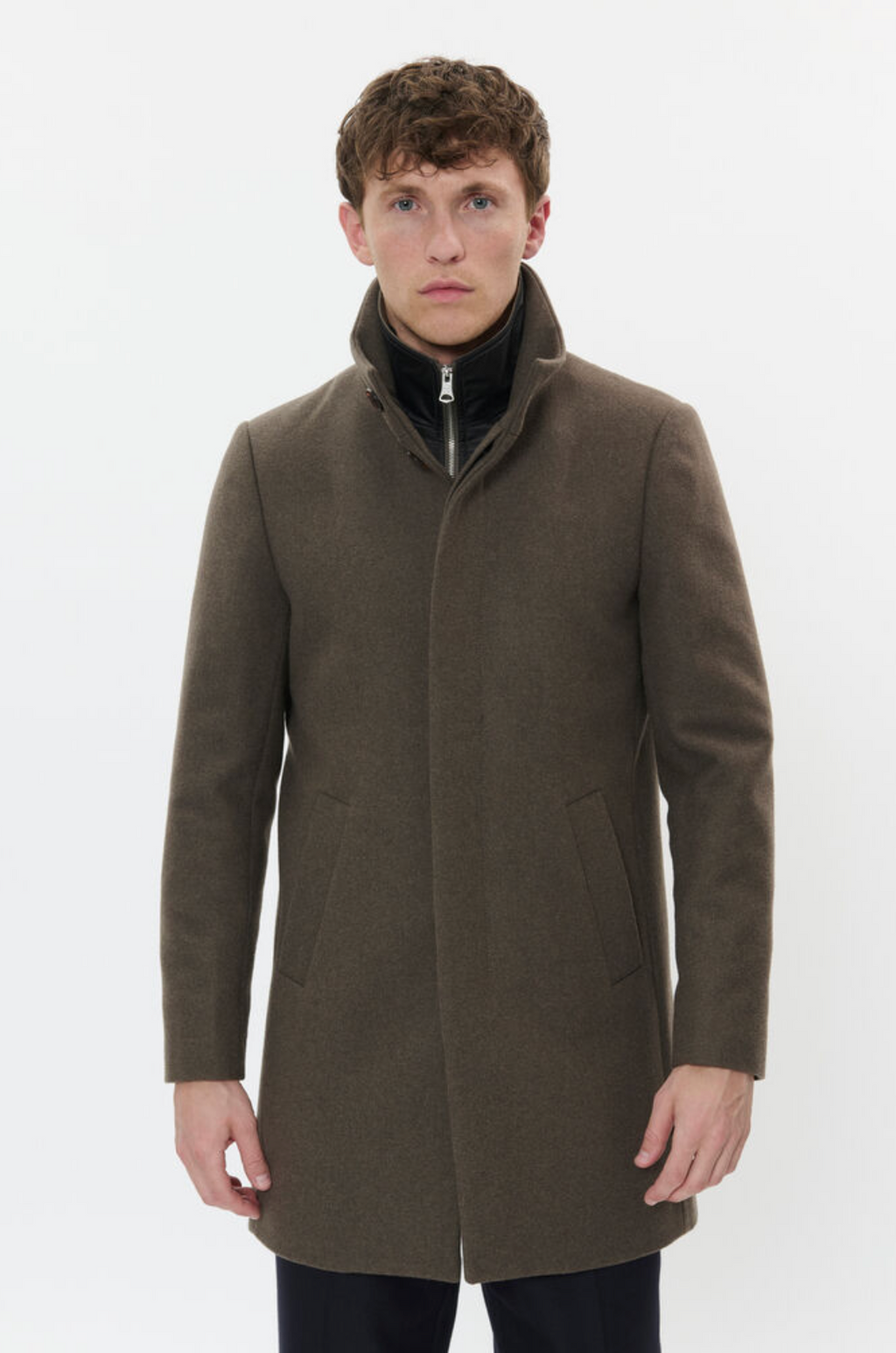 30203845 - Harvey N - Brindle