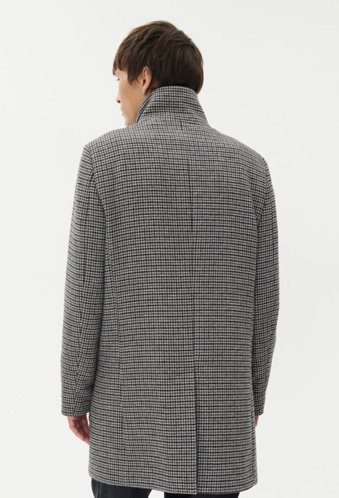 30208570 - Harvey N - Winter Twig