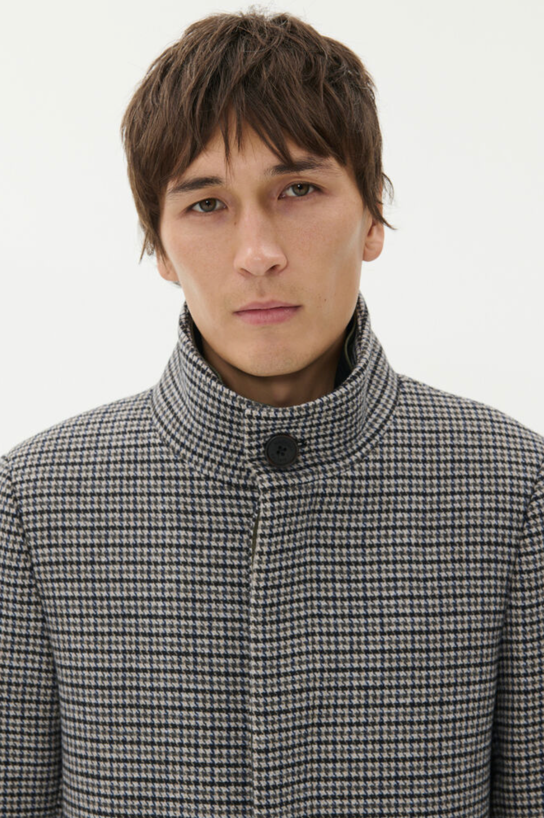 30208570 - Harvey N - Winter Twig