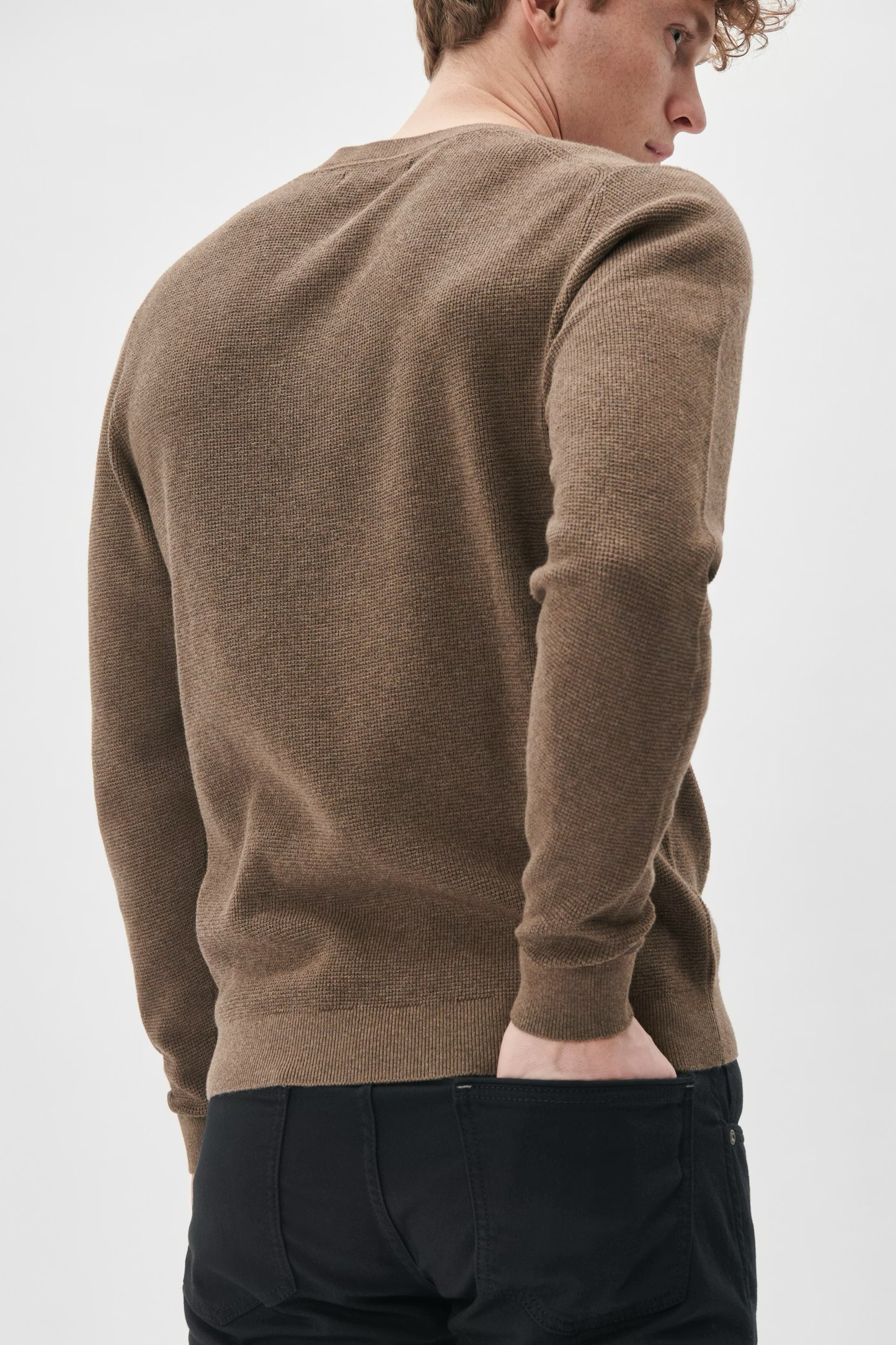 30207195 - MAlagoon - Morel