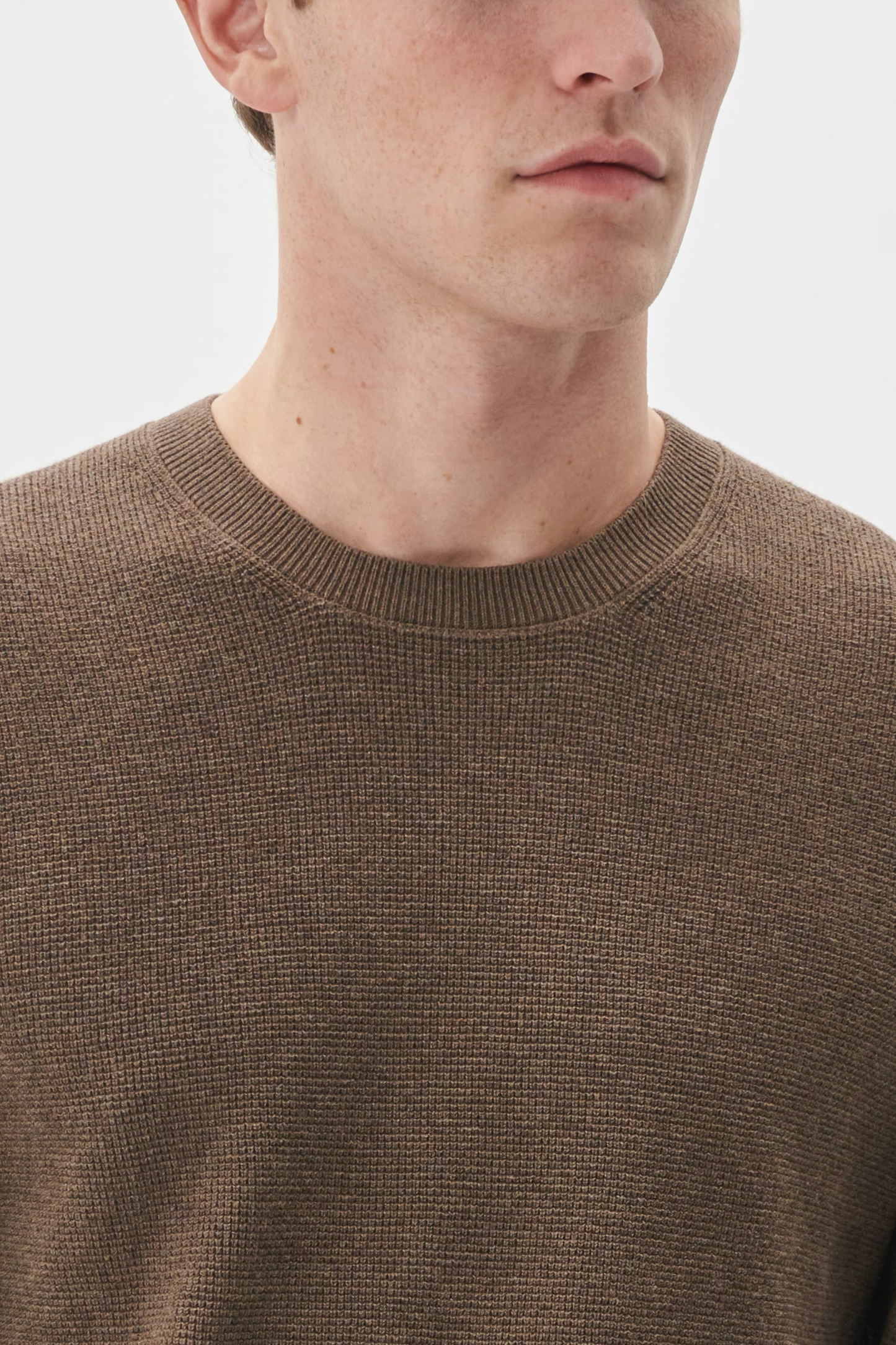 30207195 - MAlagoon - Morel